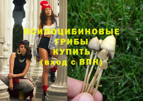 прущая мука Заводоуковск